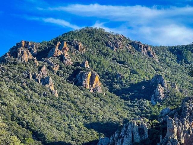 Villa Quercia Grand Confort Dans Oasis De Calme Fréjus