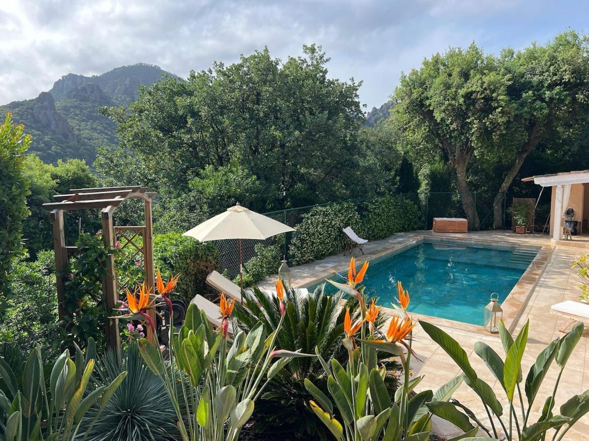 Quercia Grand Confort Dans Oasis De Calme Villa *